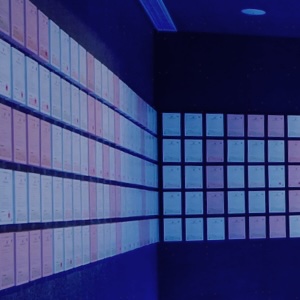 S36沙龙会 - 要玩就玩沙龙会