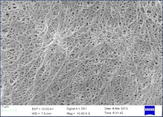 0927bec556d92a7096fc7a291cd89ab8